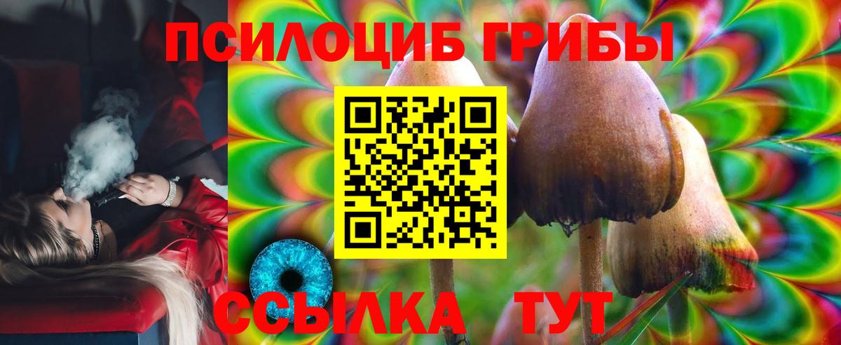 Галлюциногенные грибы Psilocybine cubensis  Вход с VPN  Алейск 